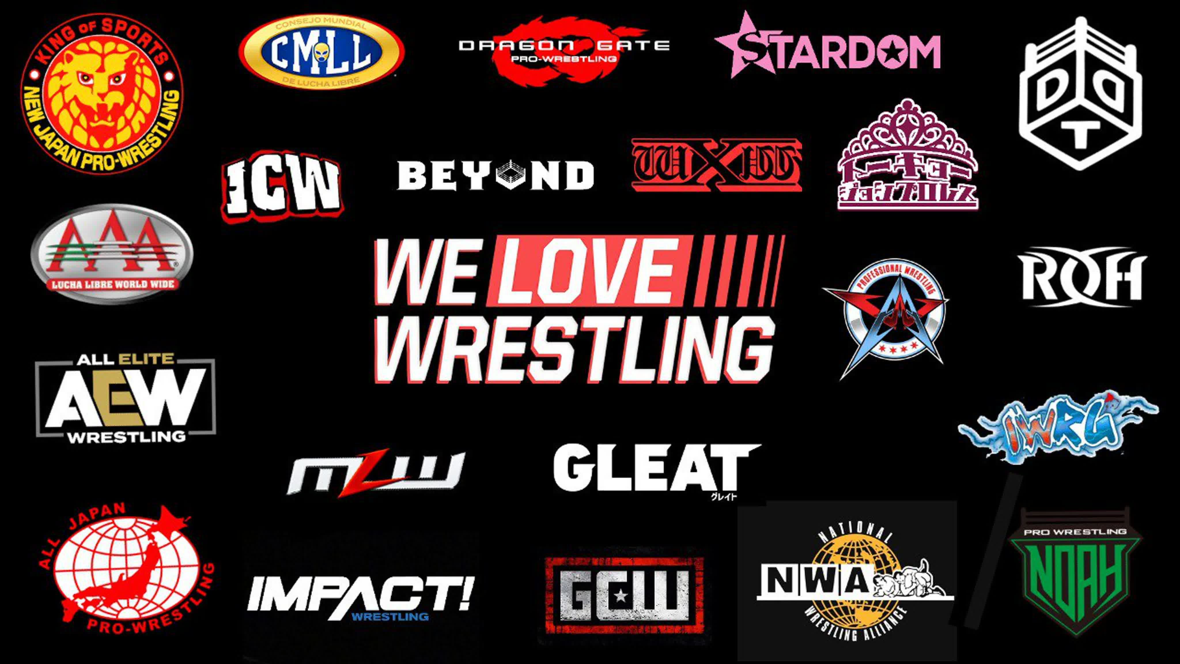 We Love Wrestling