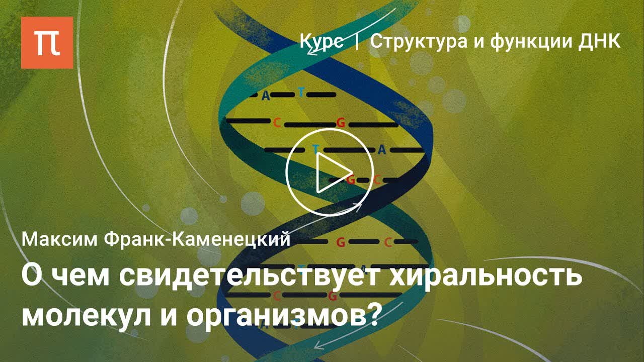 Структура и функции ДНК