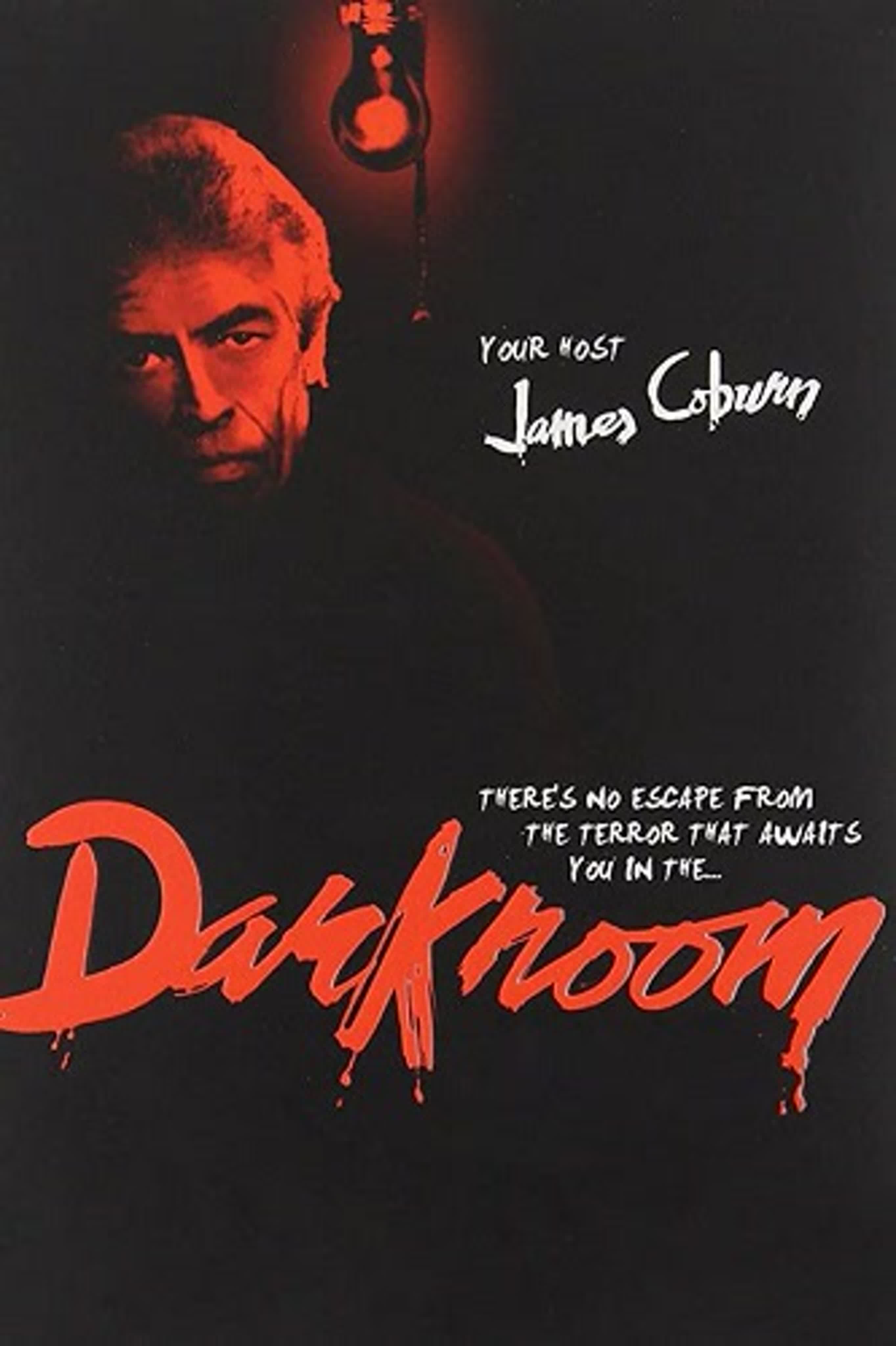 Тёмная комната (сериал 1981 – 1982)