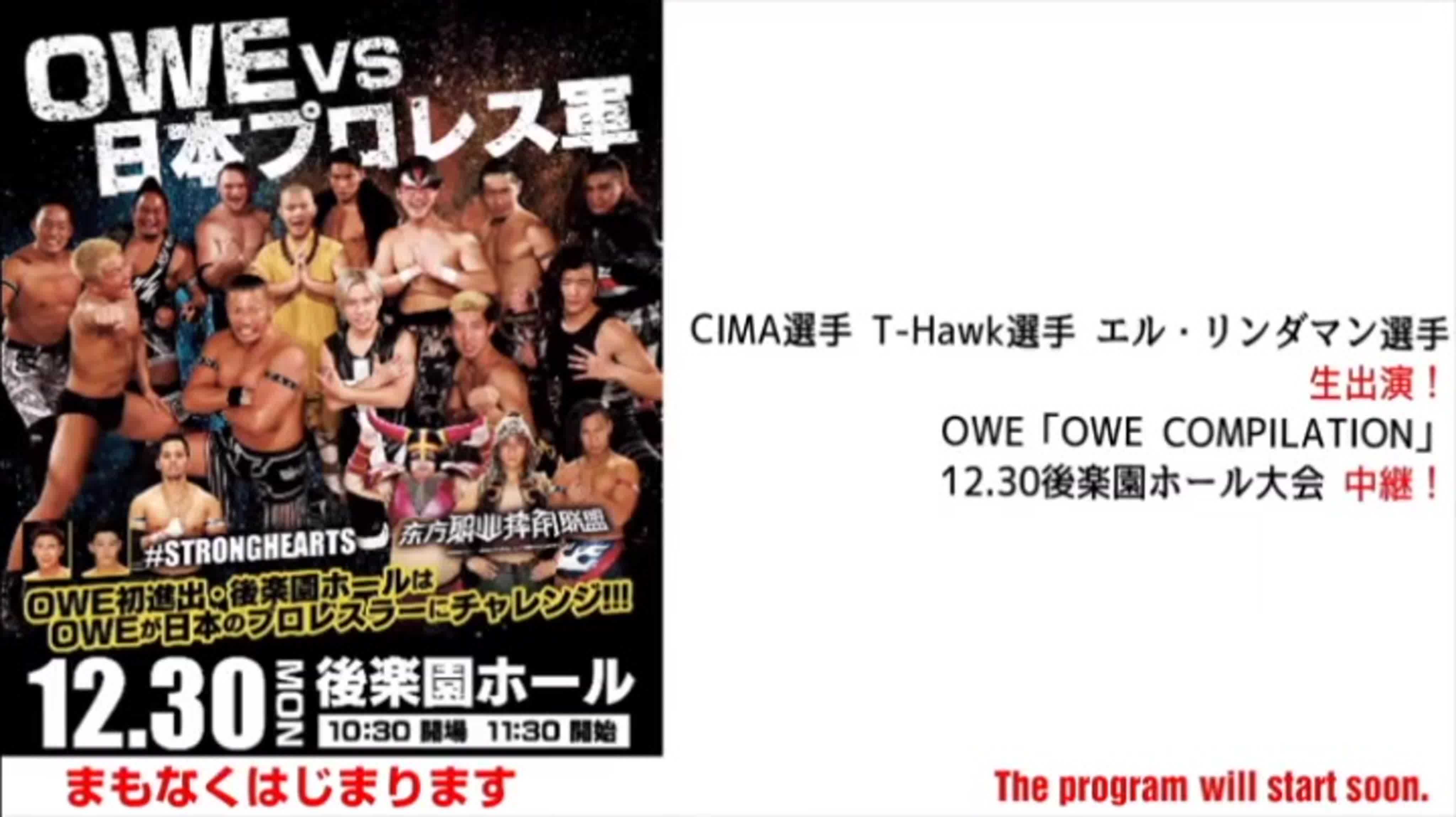 OWE (Oriental Wrestling Entertainment)