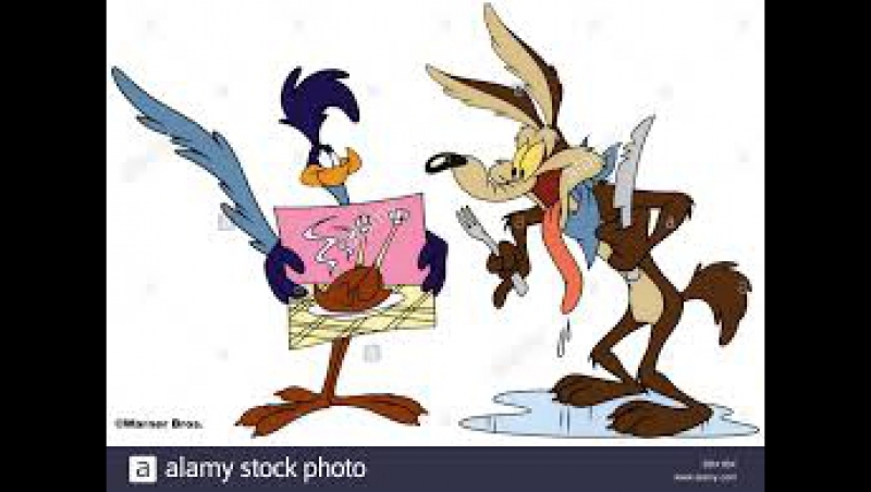 THE ROADRUNNER AND COYOTE