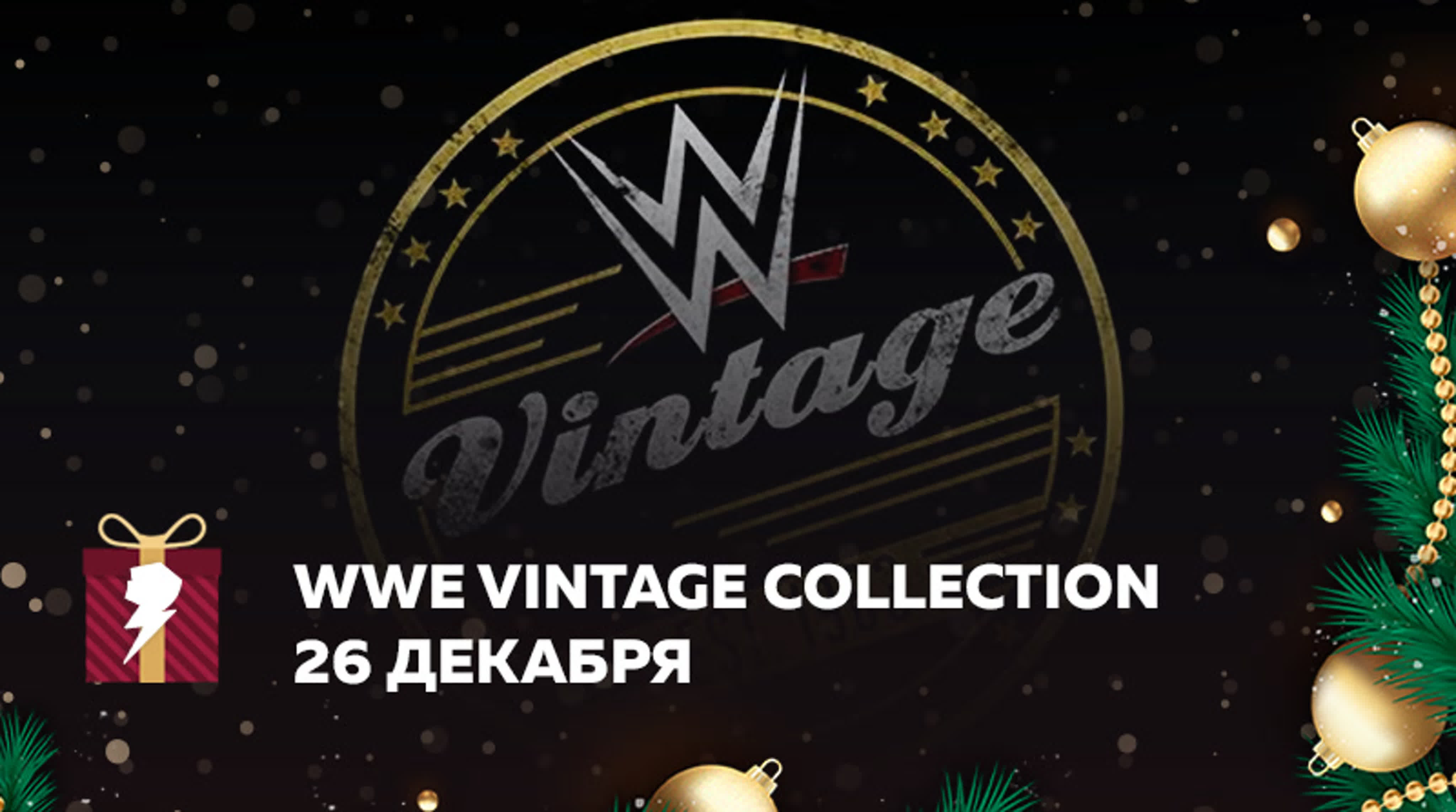 [#My1Event] WWE Vintage Collection