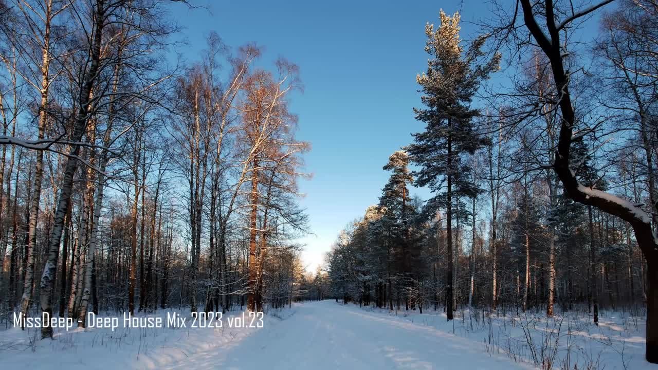 Клипушники