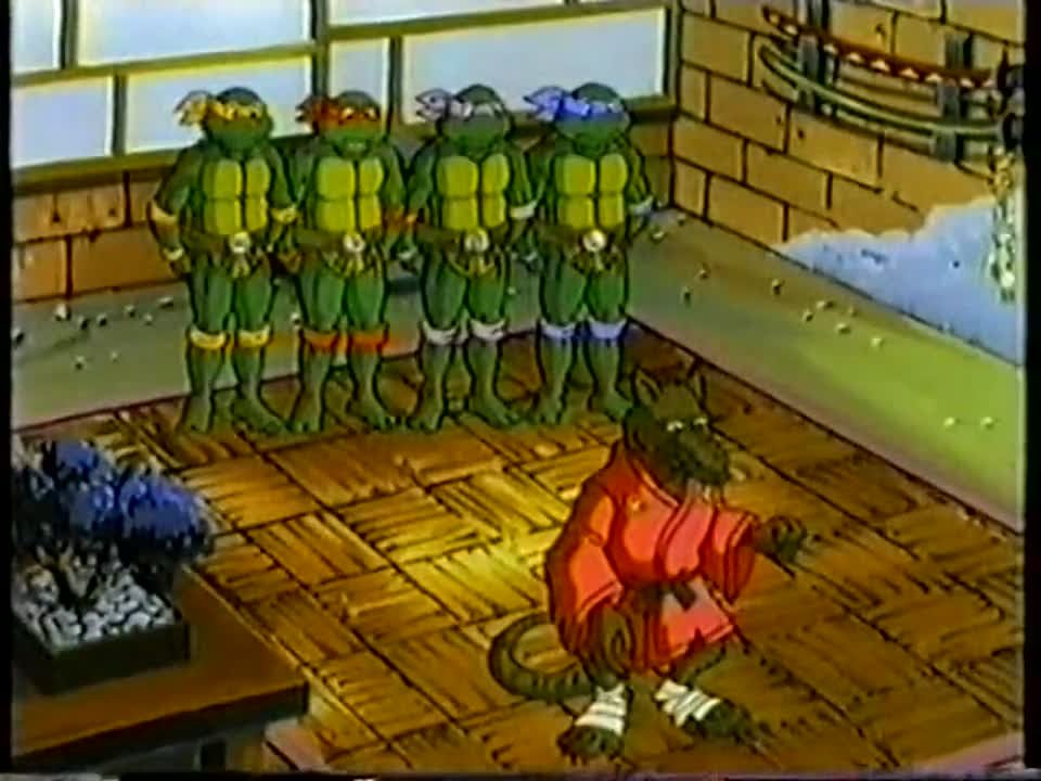 Черепашки мутанты ниндзя -  [1-10 сезоны] (1987-1996)