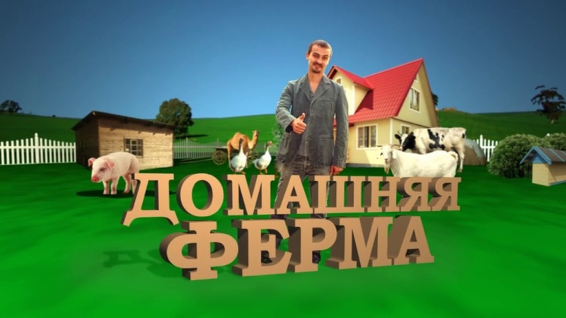 Домашняя ферма