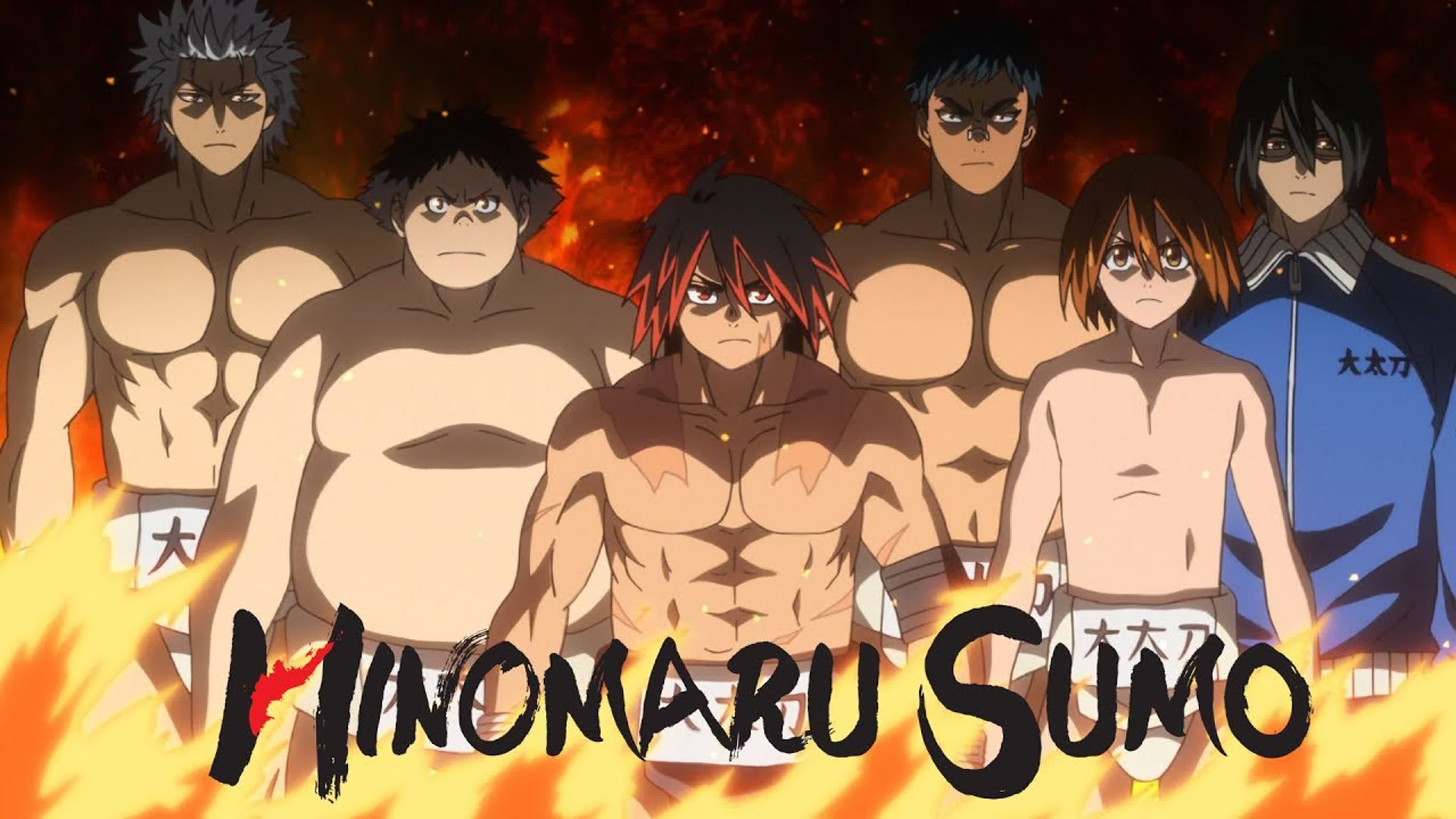 Сумо Хиномару Hinomaru Zumou