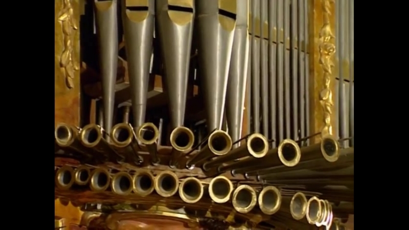 Historia del Órgano - A History of the Organ