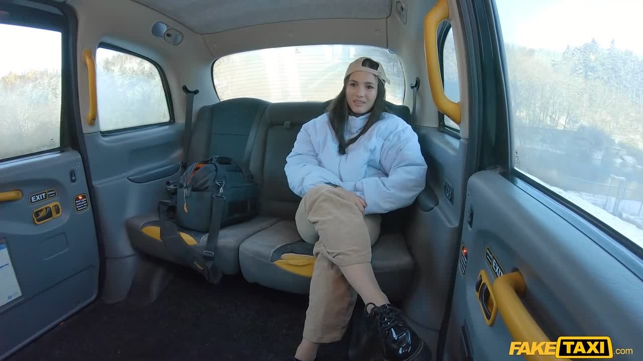 FakeTaxi