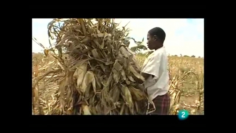 Documentales y reportajes sobre Zimbabue