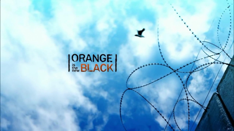 Orange is the new black | Оранжевый - хит сезона