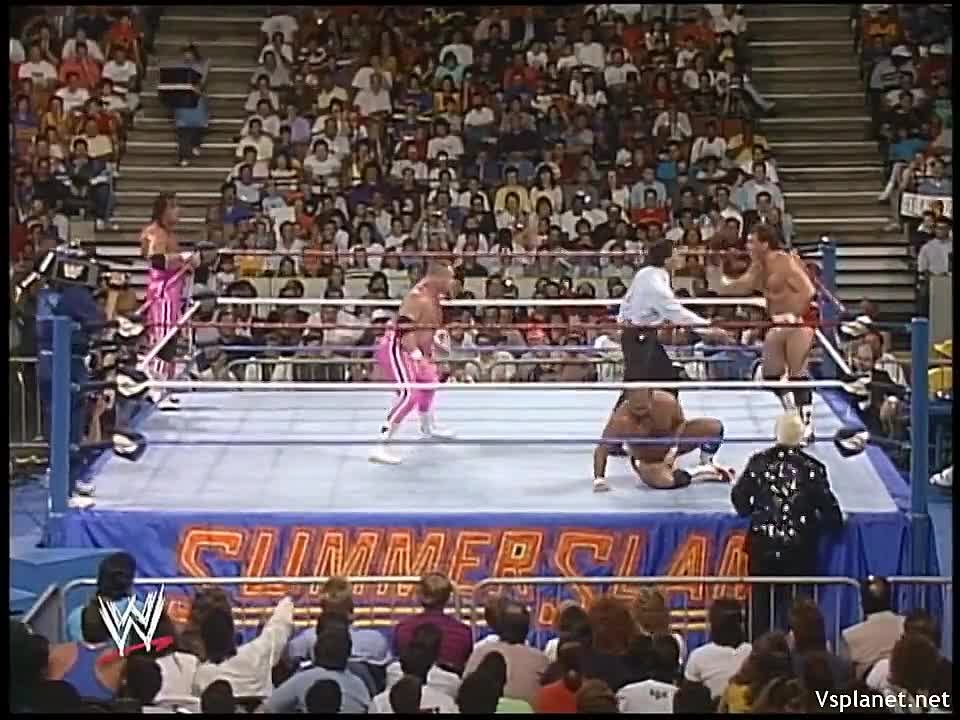 WWF PPV 1989