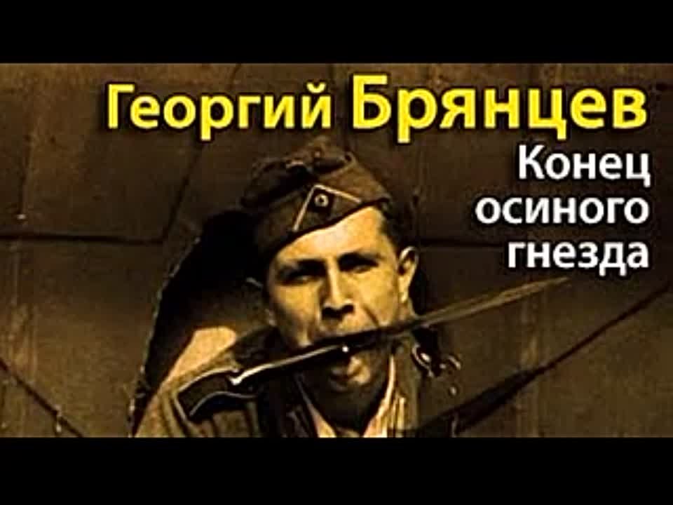 Георгий Брянцев. Конец осиного гнезда