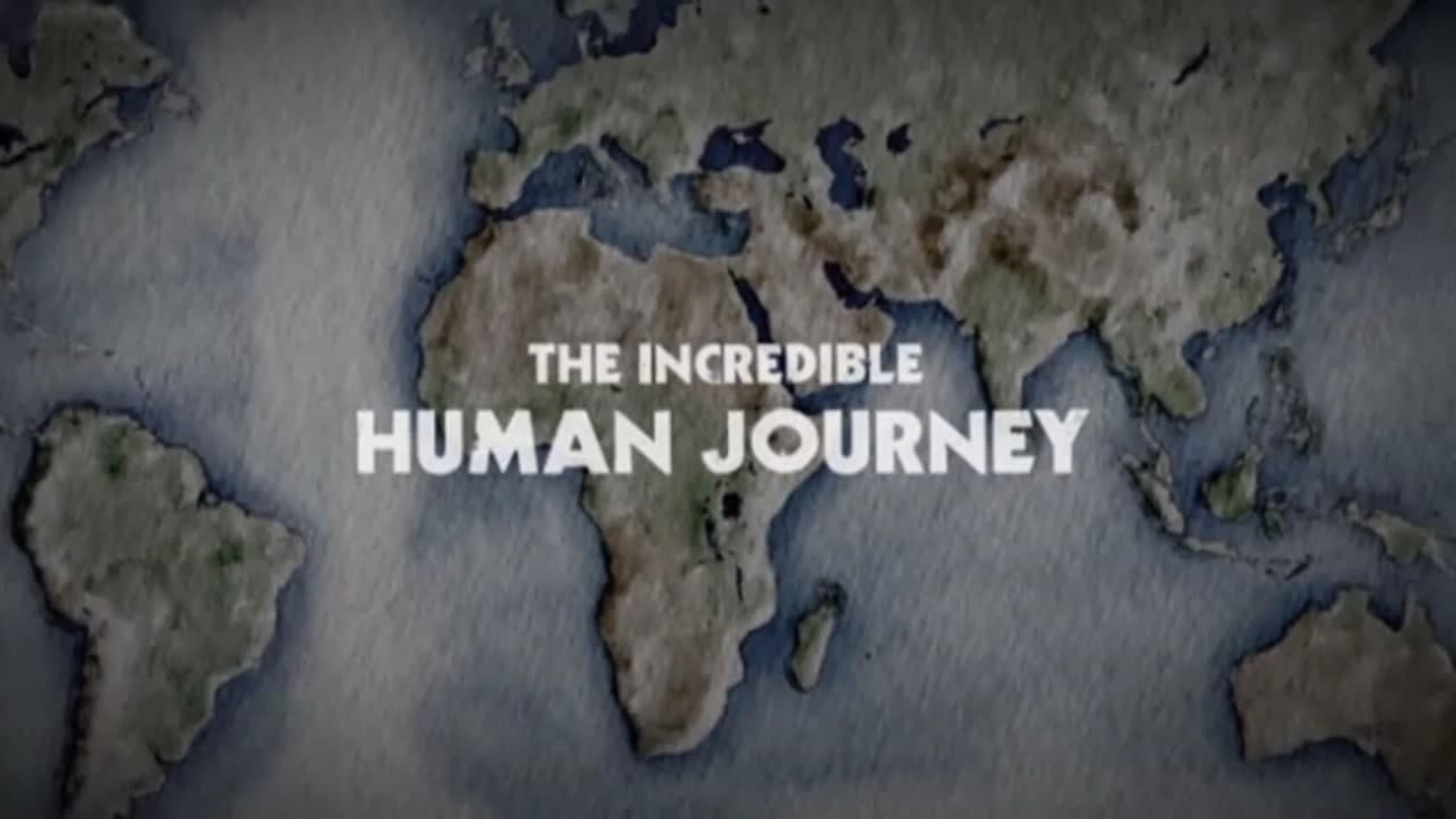 Путешествие человека / The Incredible Human Journey (2013)