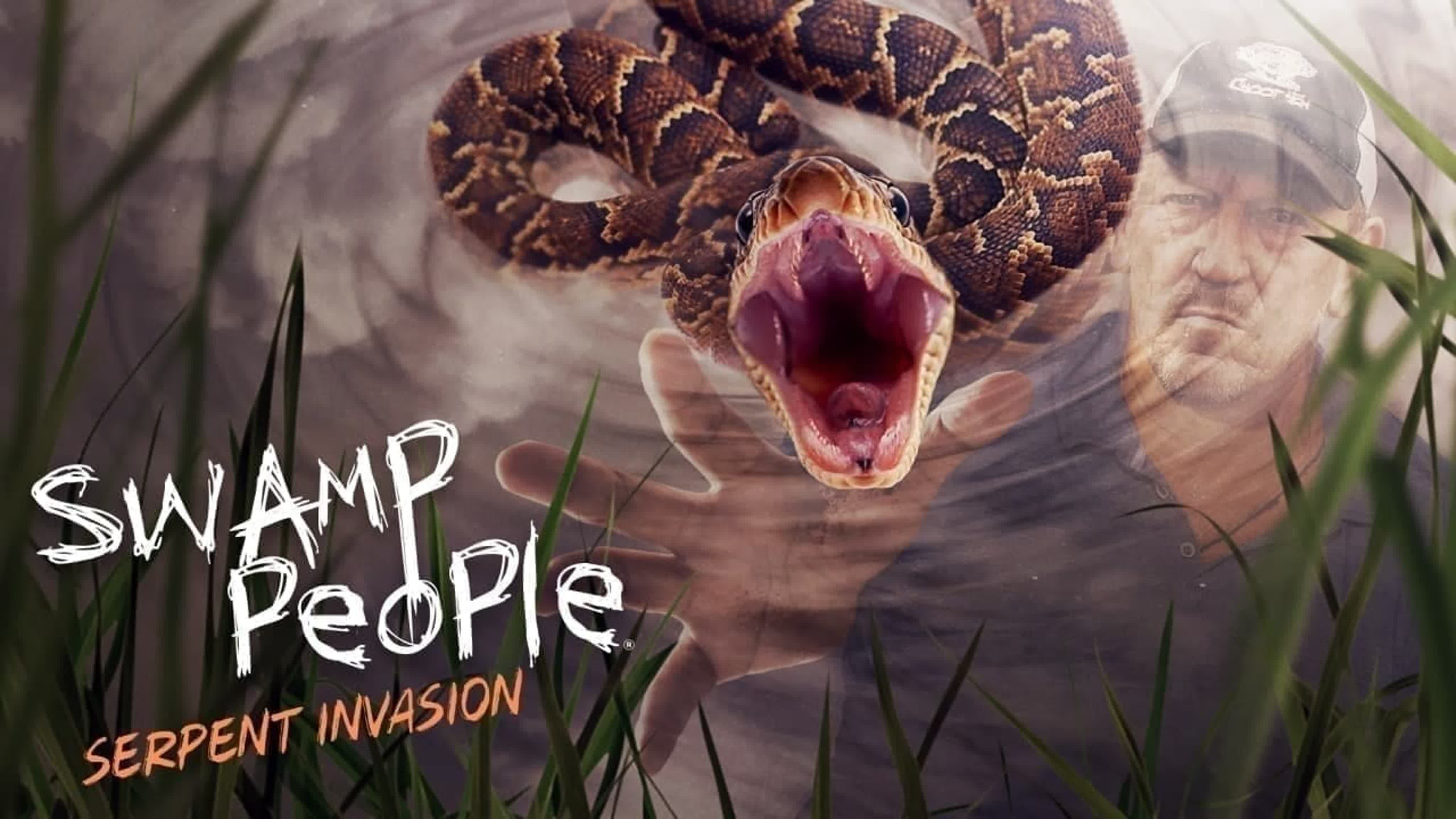 Люди болот: Вторжение тигровых питонов / Swamp People: Serpent Invasion 2 сезон (2020)