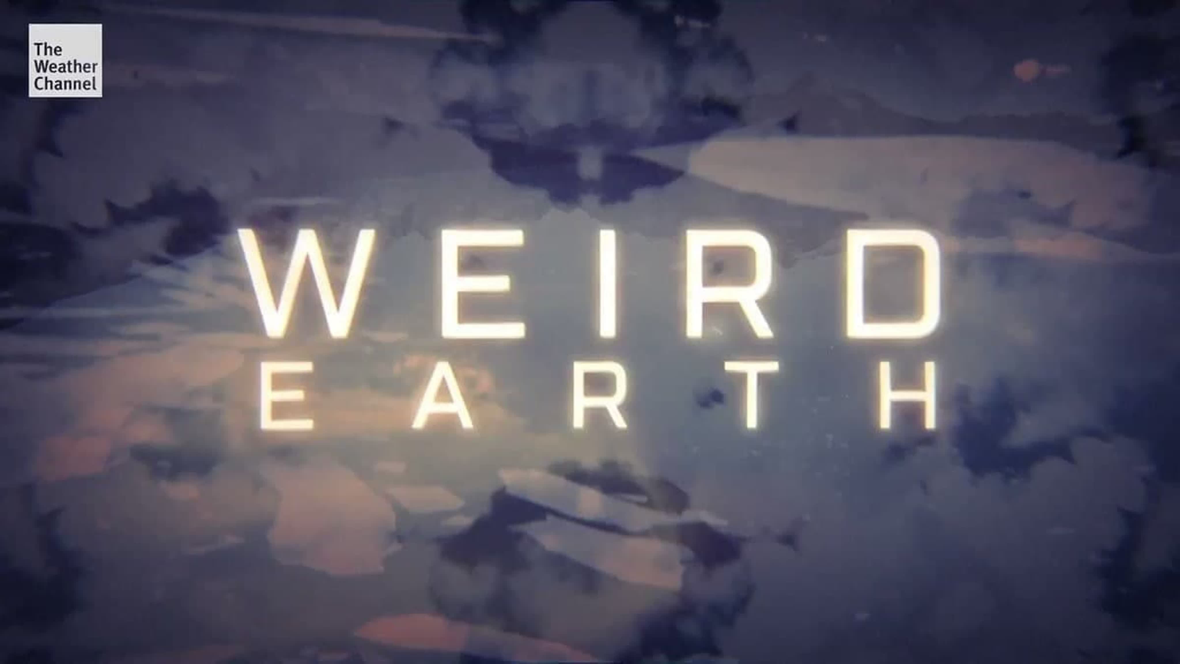 Необъяснимая Земля / Weird Earth (2021)
