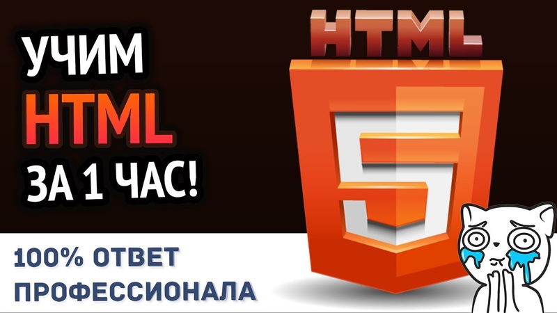 Programming_Языки: HTML