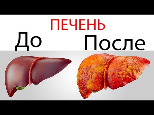 ПИТАНИЕ / Продукты (ALL)