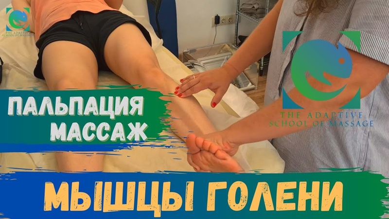 Семинар Hallux Valgus. Анатомия и биомеханика