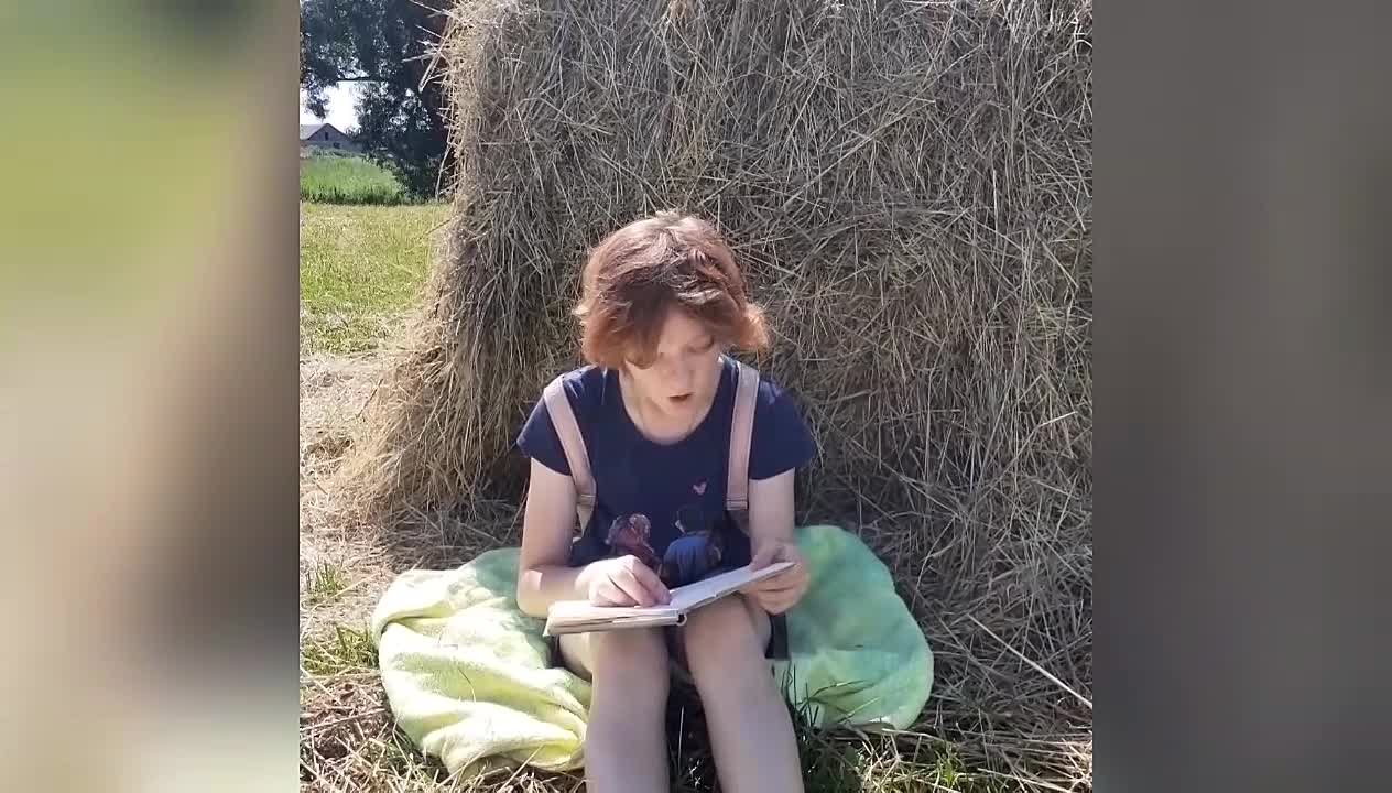 Н.А. Некрасов