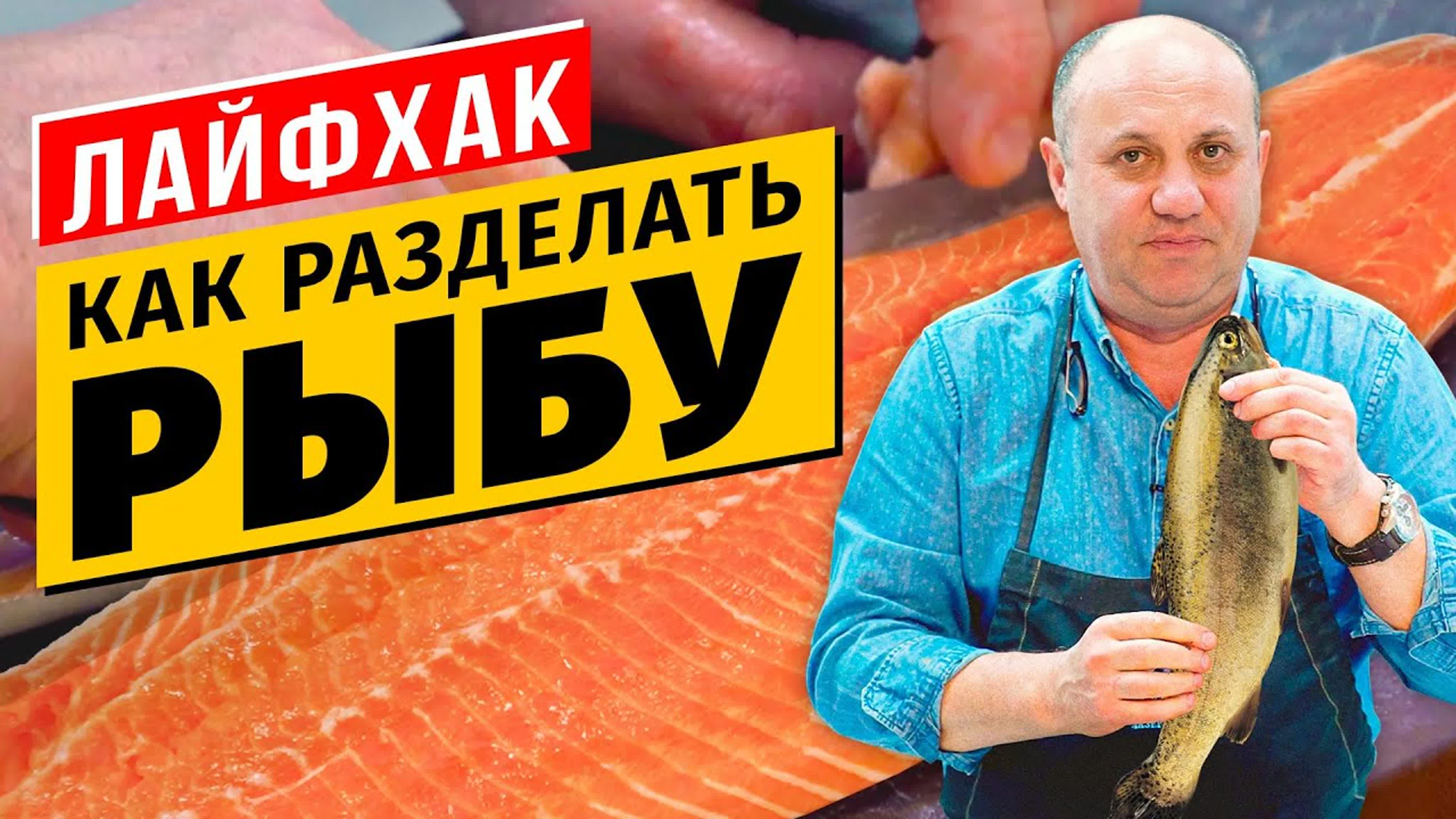 Основы