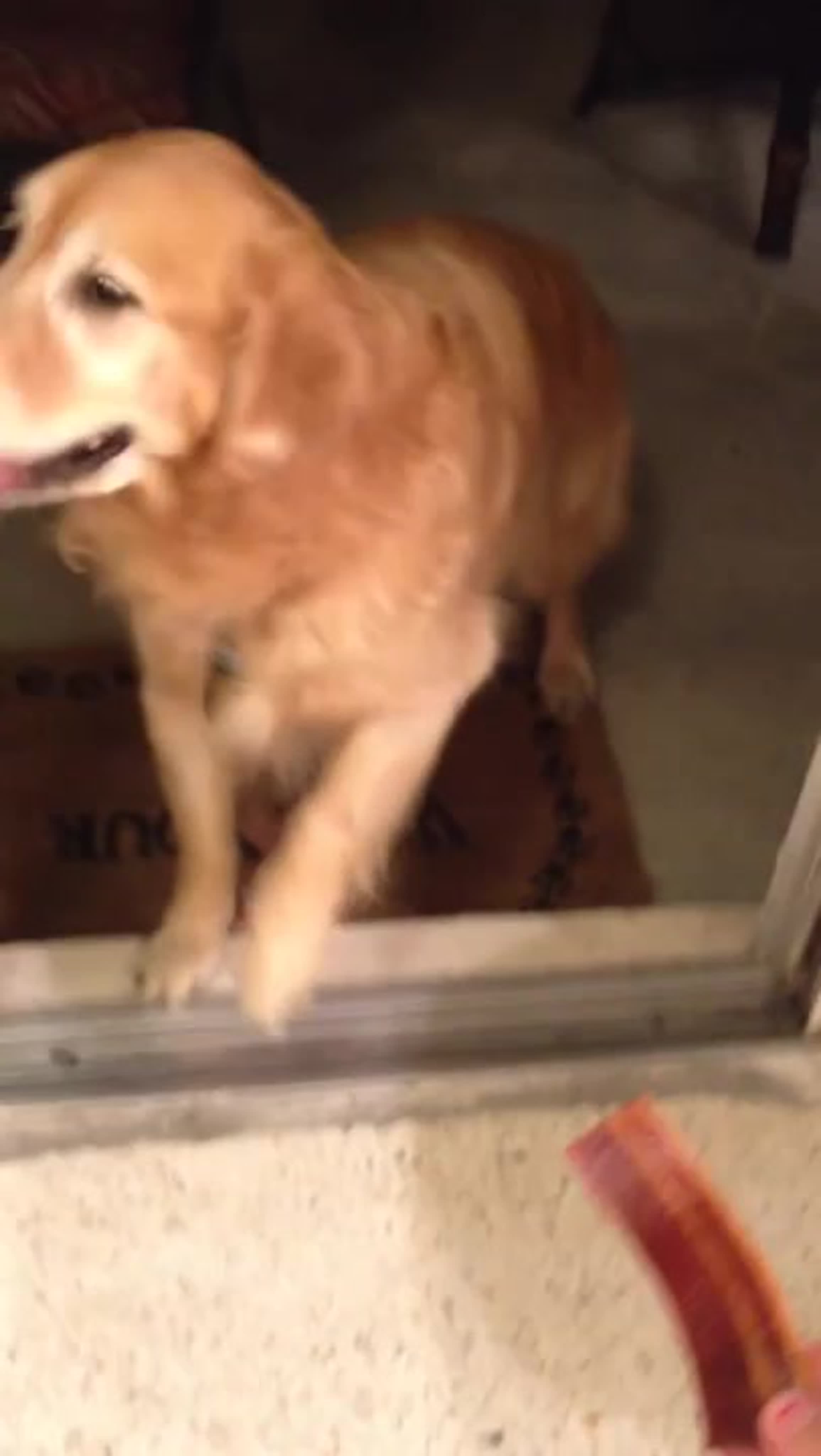 Психология