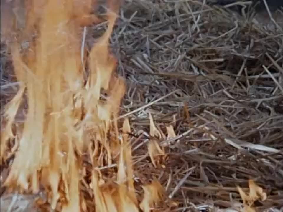 Боевые искусства