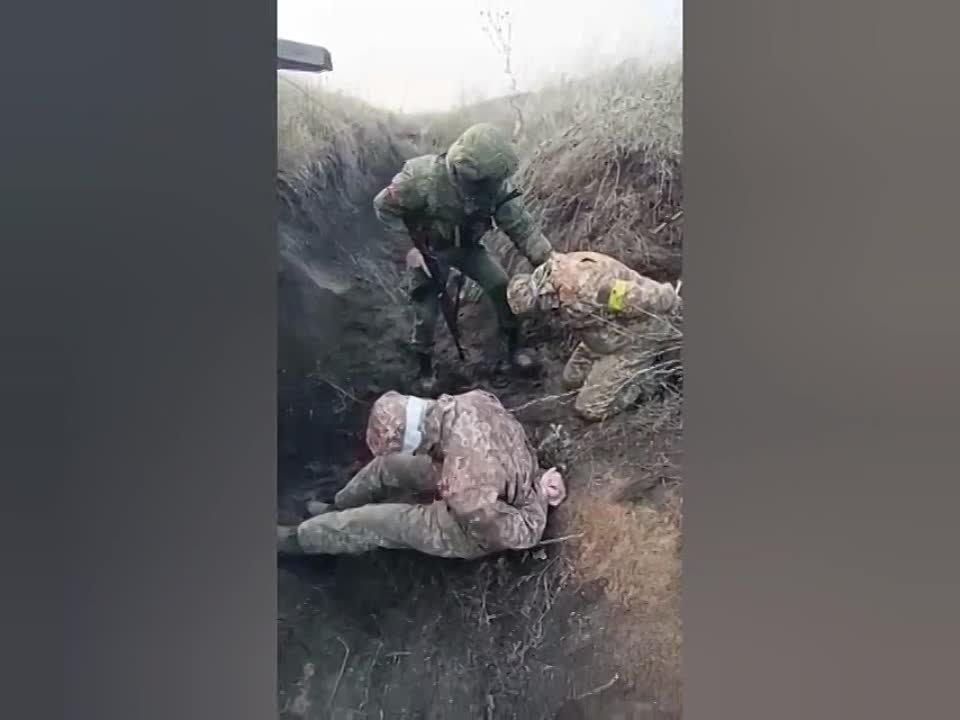 только факты