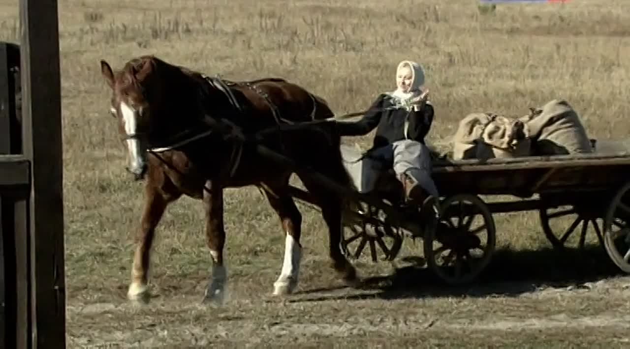 Последний янычар