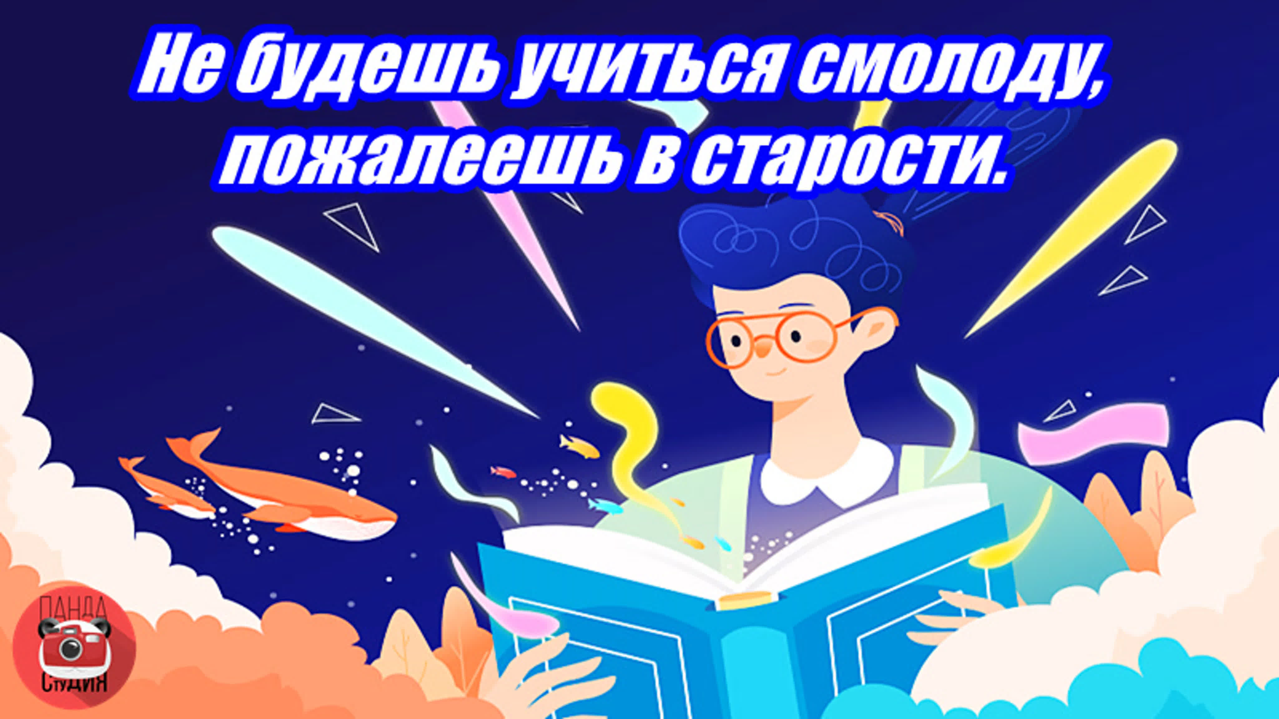 Правда жизни от Цзинцзин