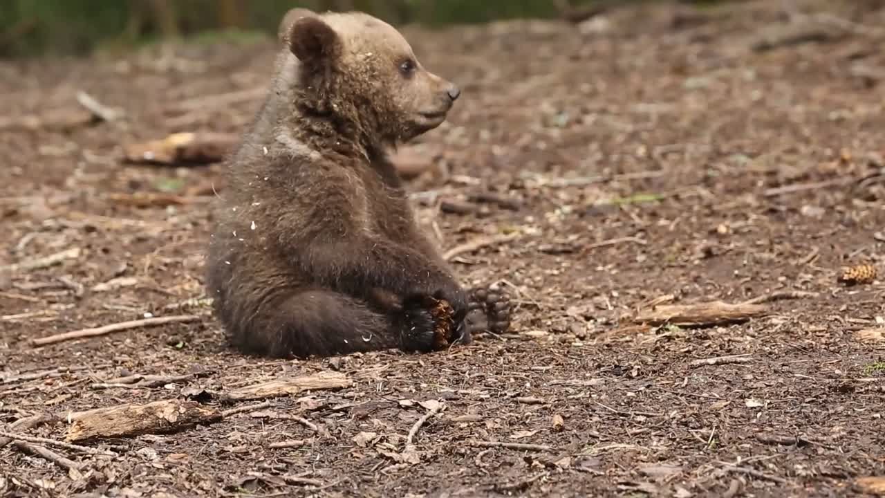 Разное