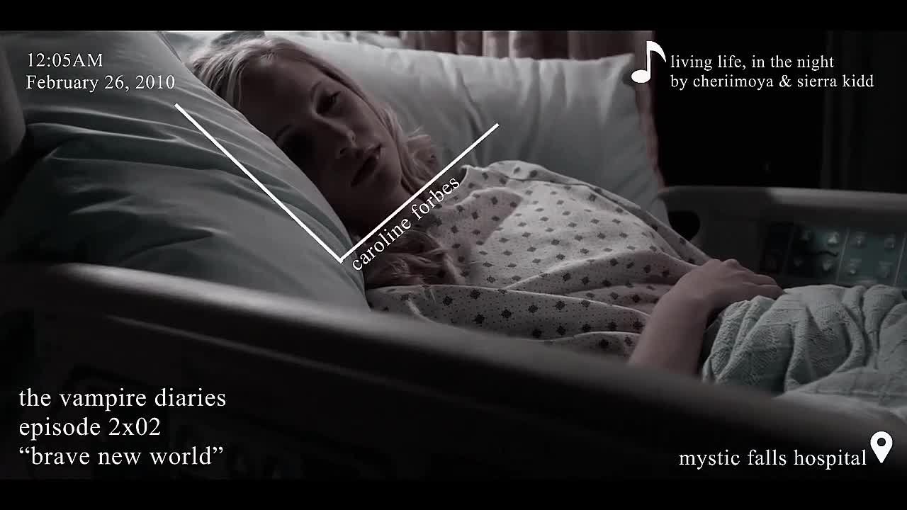 – ✧ the vampire diaries ❬ #2 ❭