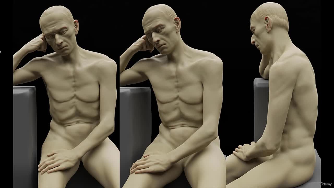 Anatomy Masterclass in Blender Learn Male Human Anatomy