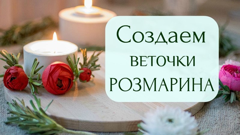 фом 24