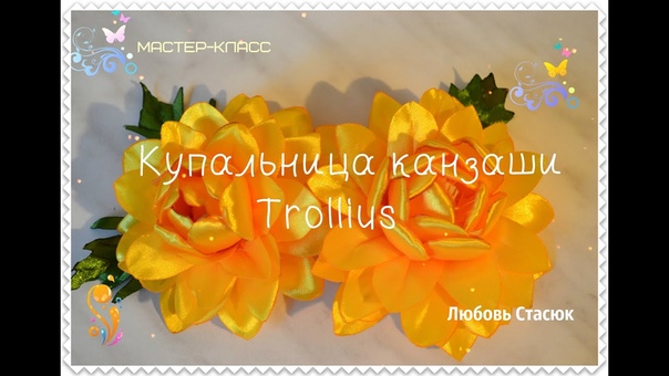 Канзаши 14