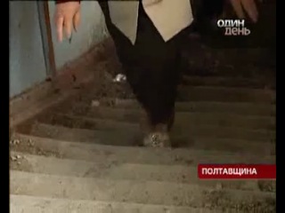 История