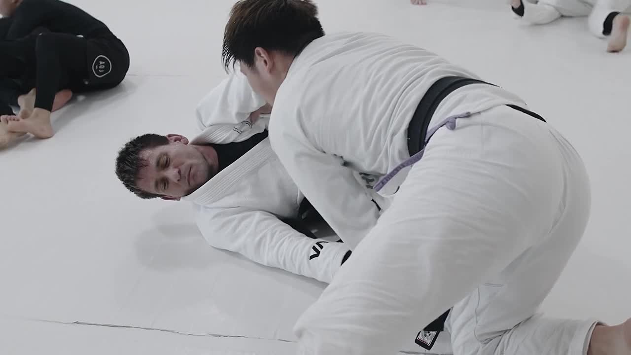 ART OF JIUJITSU