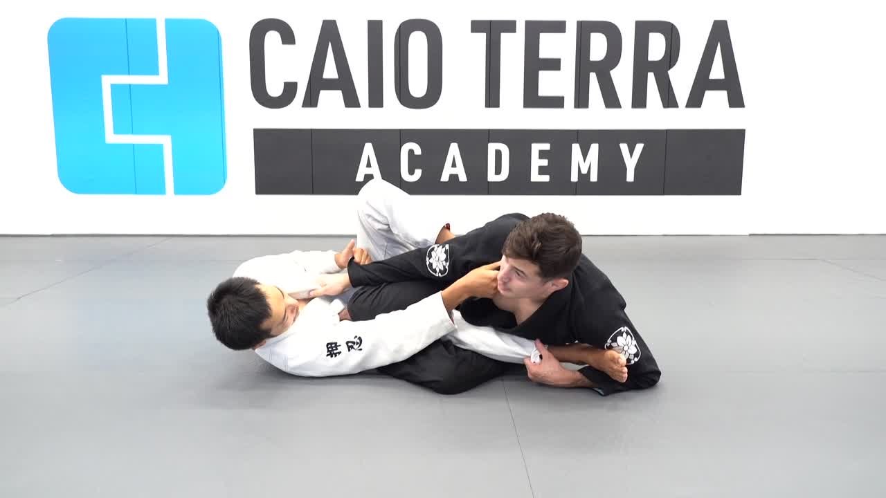 CAIO TERRA 2