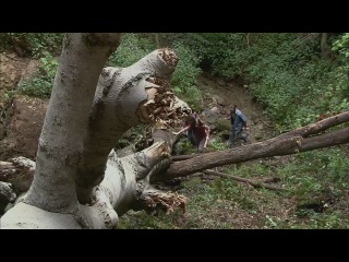 Ужасы, мистика, триллеры.