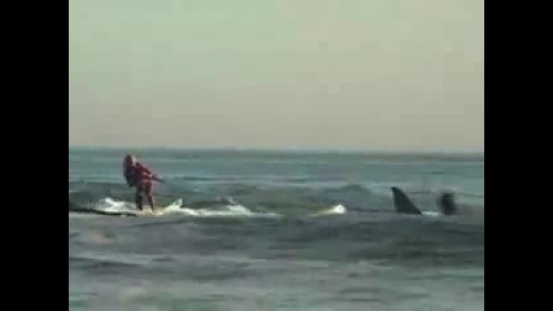 способности