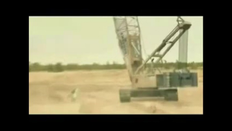 Спорт