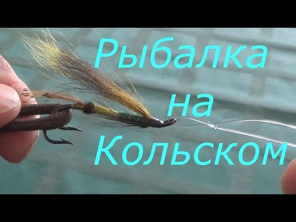 Мушки