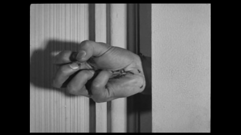 Кино-ужасы 1920-....