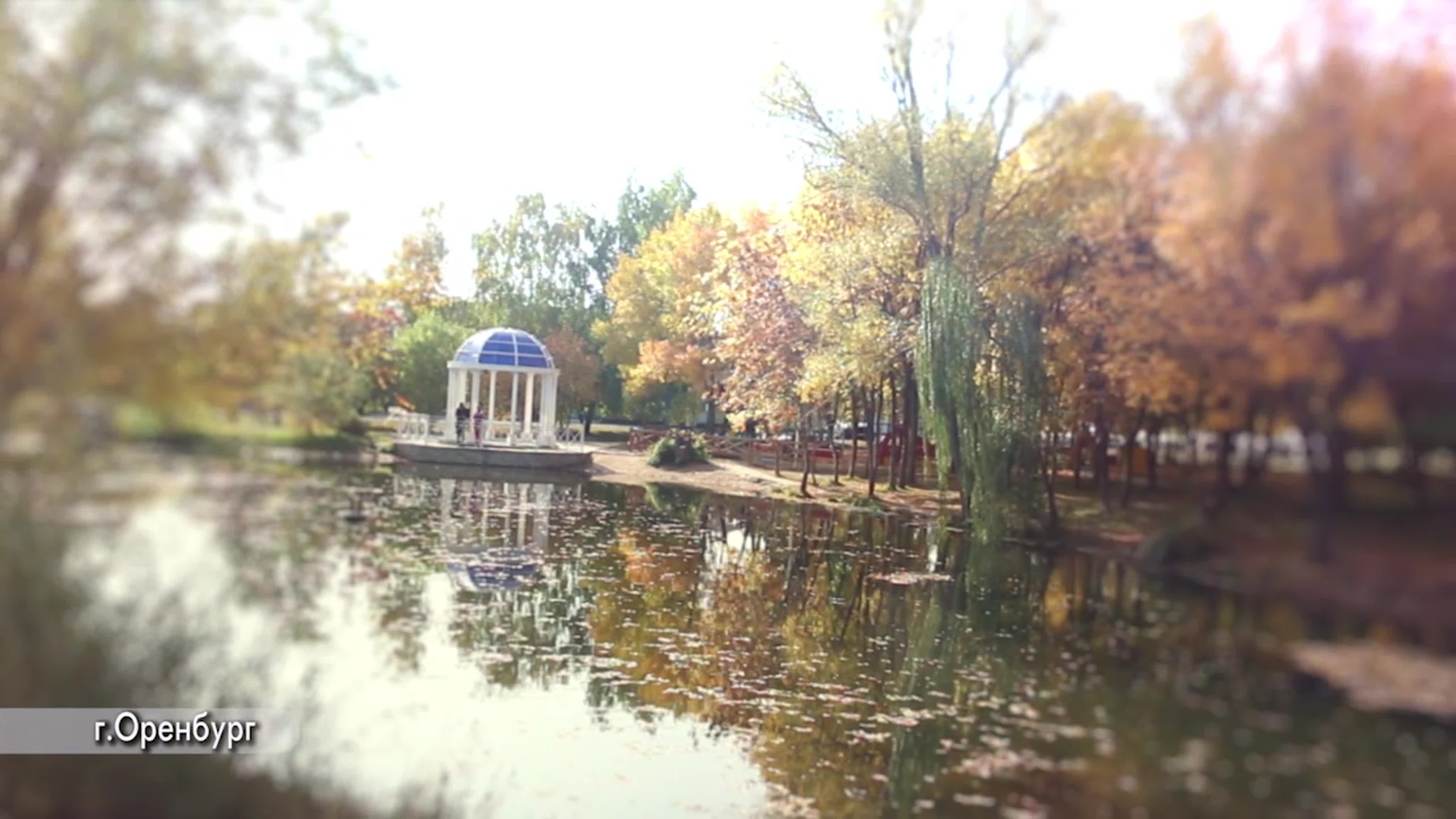 Зарисовки
