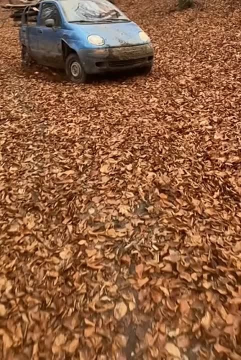 🚘👺😡🎶🤪🤢🔞