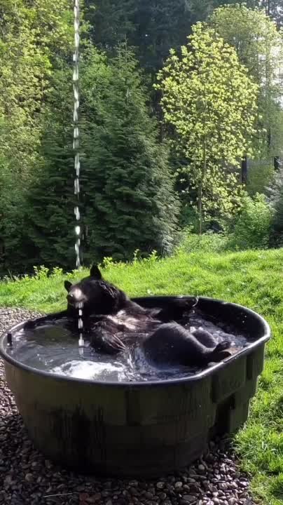 видео на разные темы