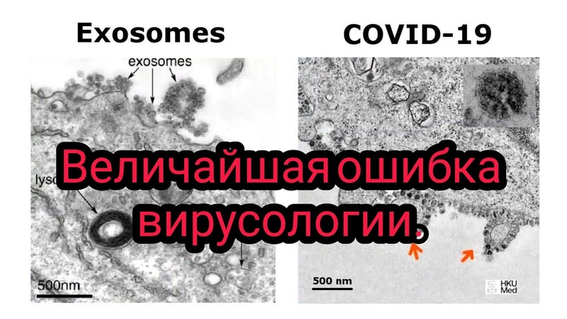 id