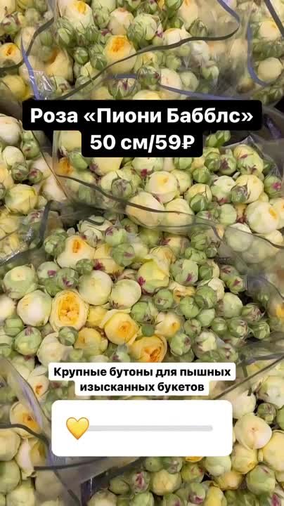 цветы