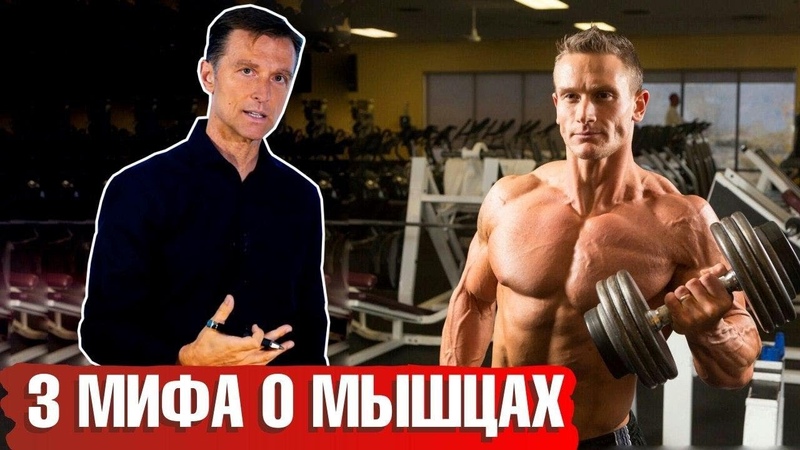 Спорт