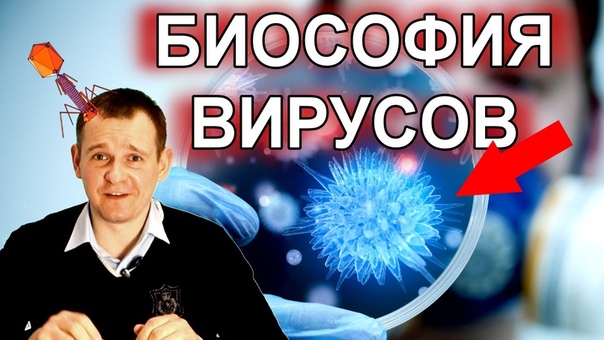 Биософия