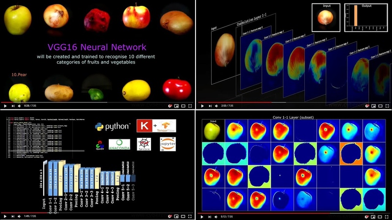 VISIONS / CONSULTING